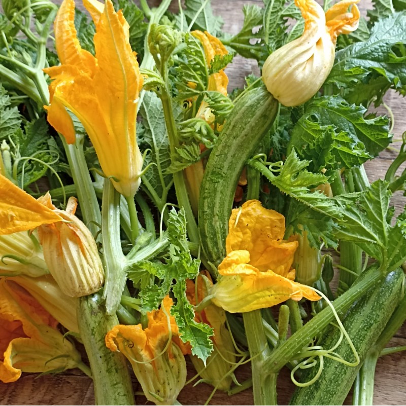 Bio zuppetta di Fiori