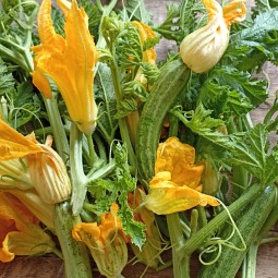 Bio zuppetta di Fiori